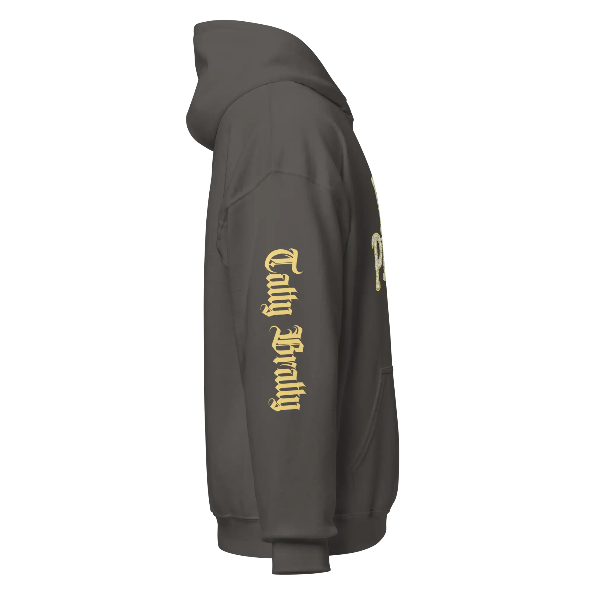 Gray hoodie with sleeve text.