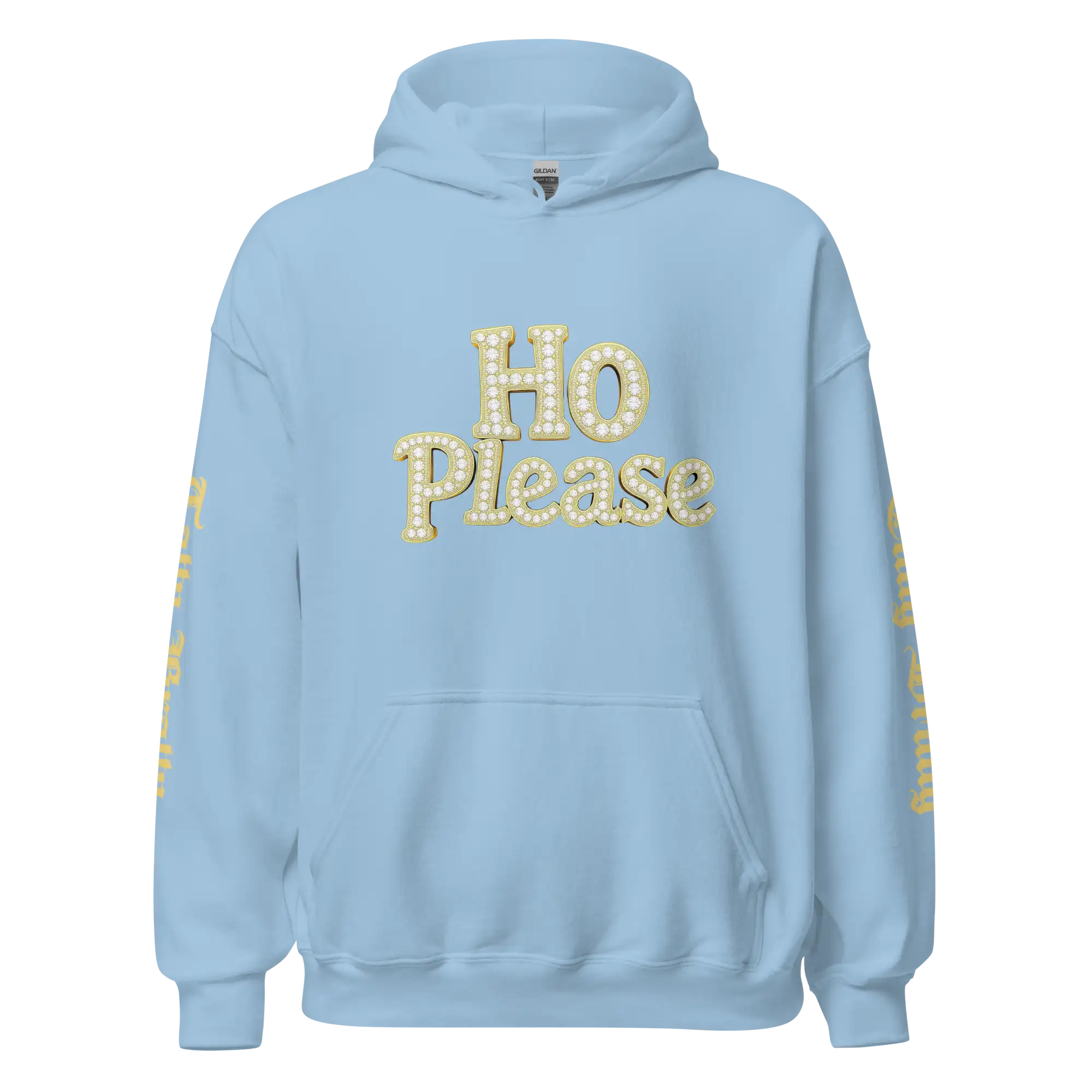 Light blue hoodie with ’HO Please’ text.